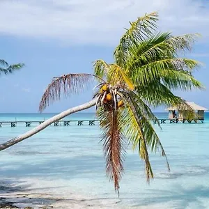 Sunset Hill Apartamento Bora Bora